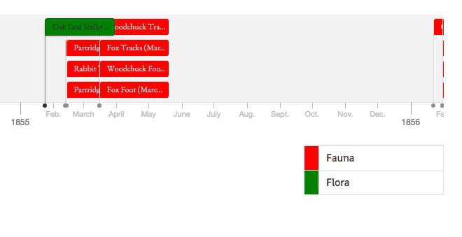 timeline_thumbnail