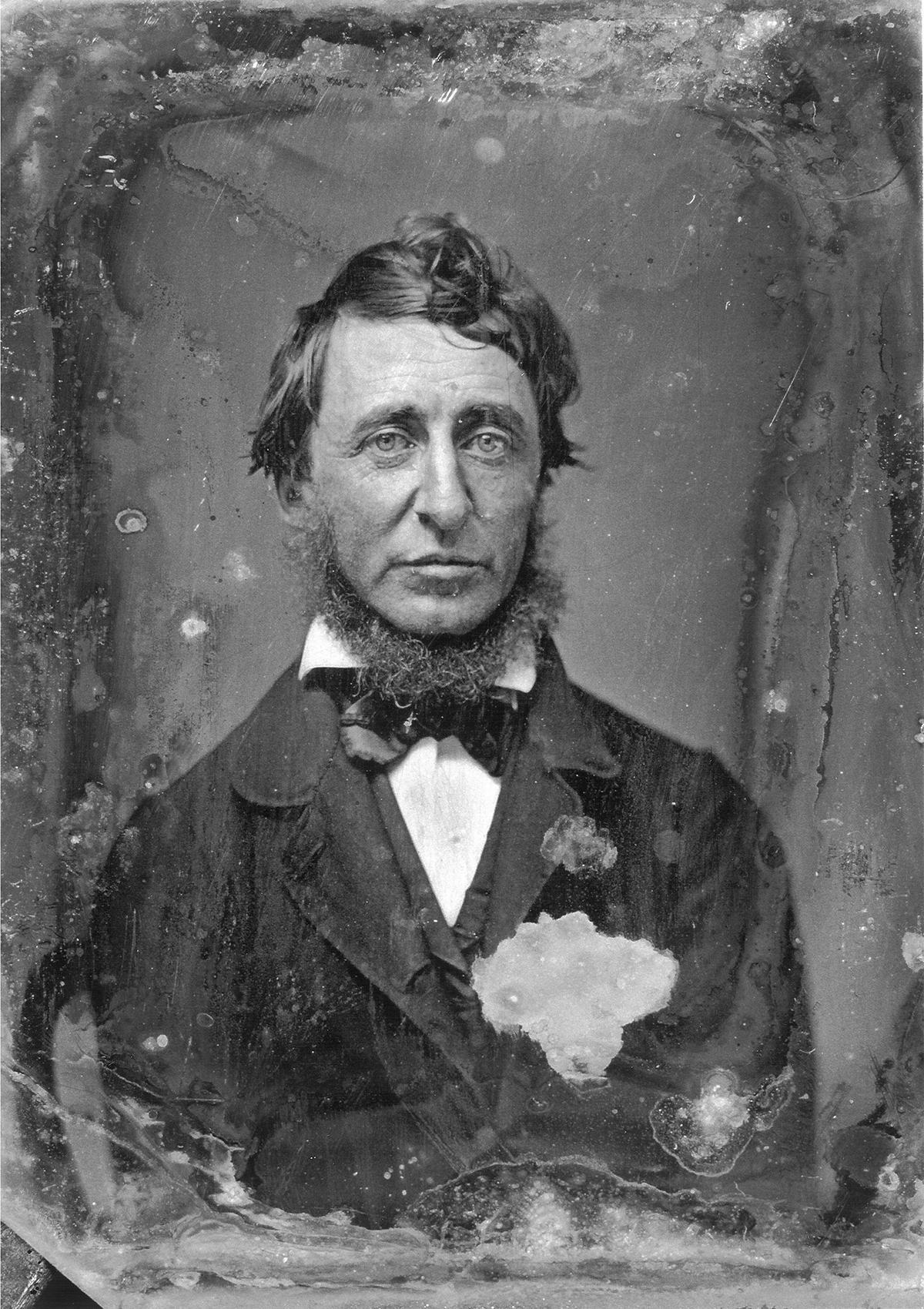 Thoreau Thoreau